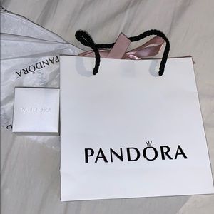 Pandora bag and packaging